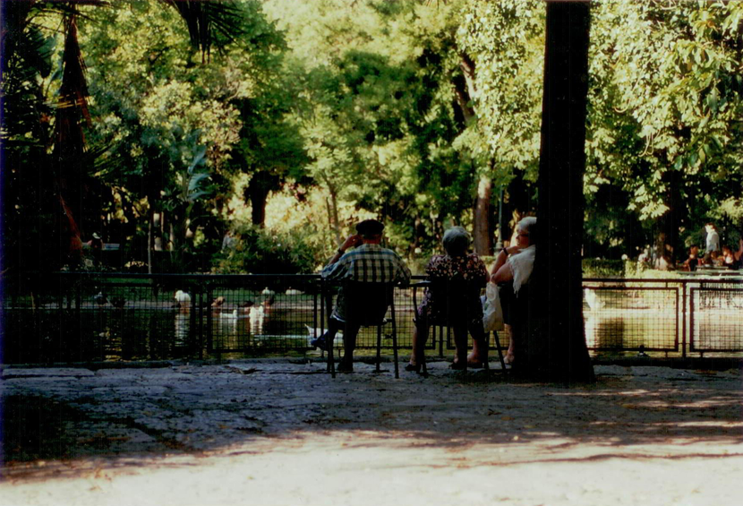 jardim da estrela via au pays des merveilles