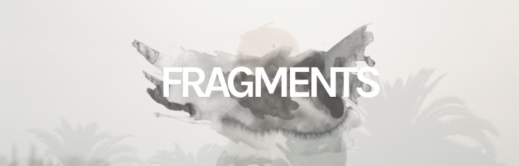 TOPIC fragments