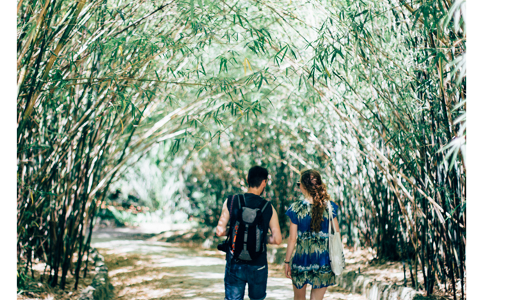 jardim botanico lisboa - hannelore veelaert - au pays des merveilles-5