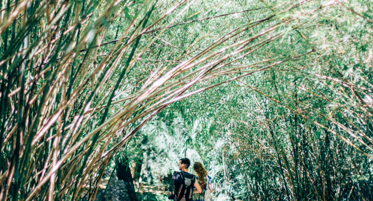 jardim botanico lisboa - hannelore veelaert - au pays des merveilles-6