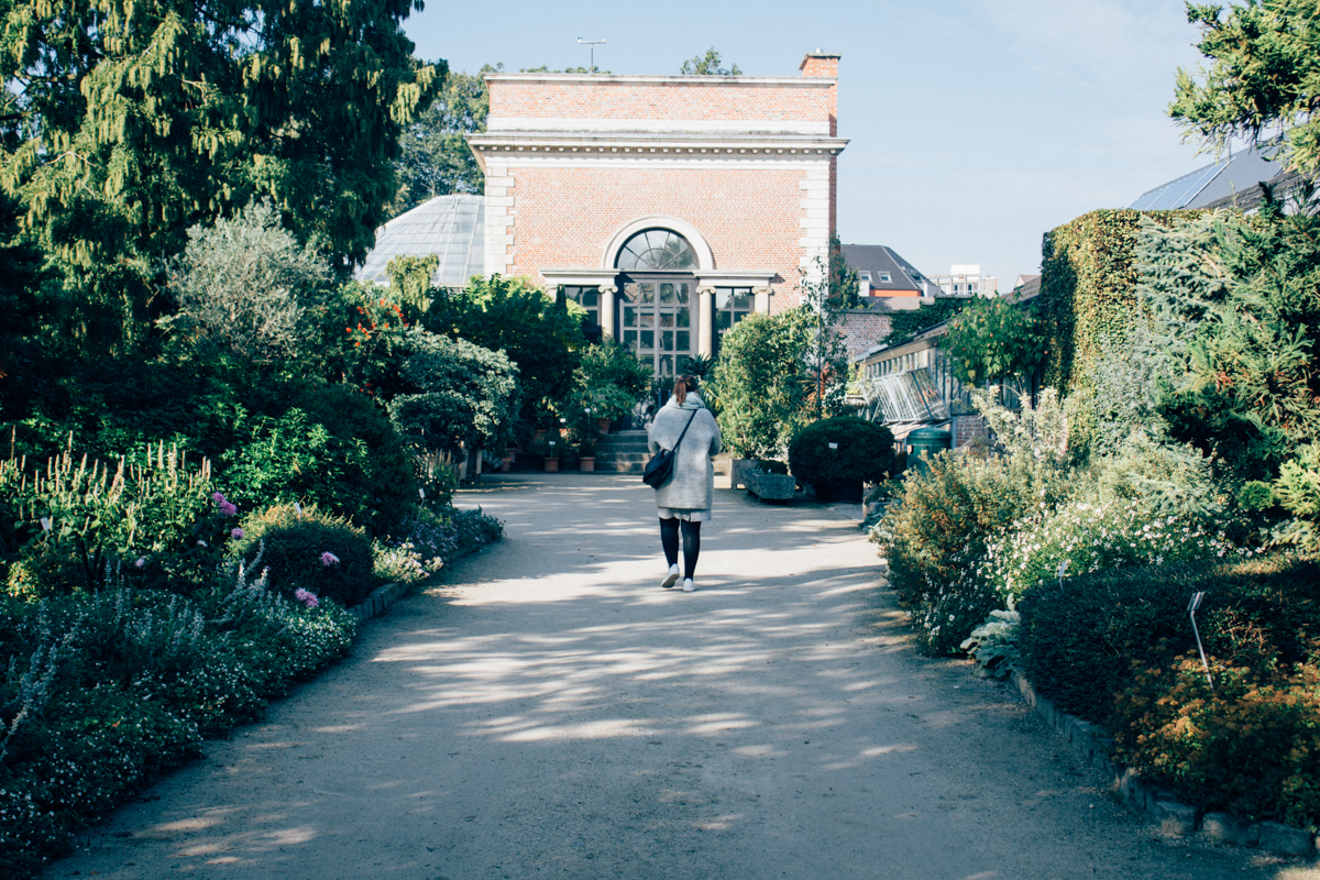 EXPLORED_ kruidtuin in Leuven - by hannelore veelaert for au pays des merveilles