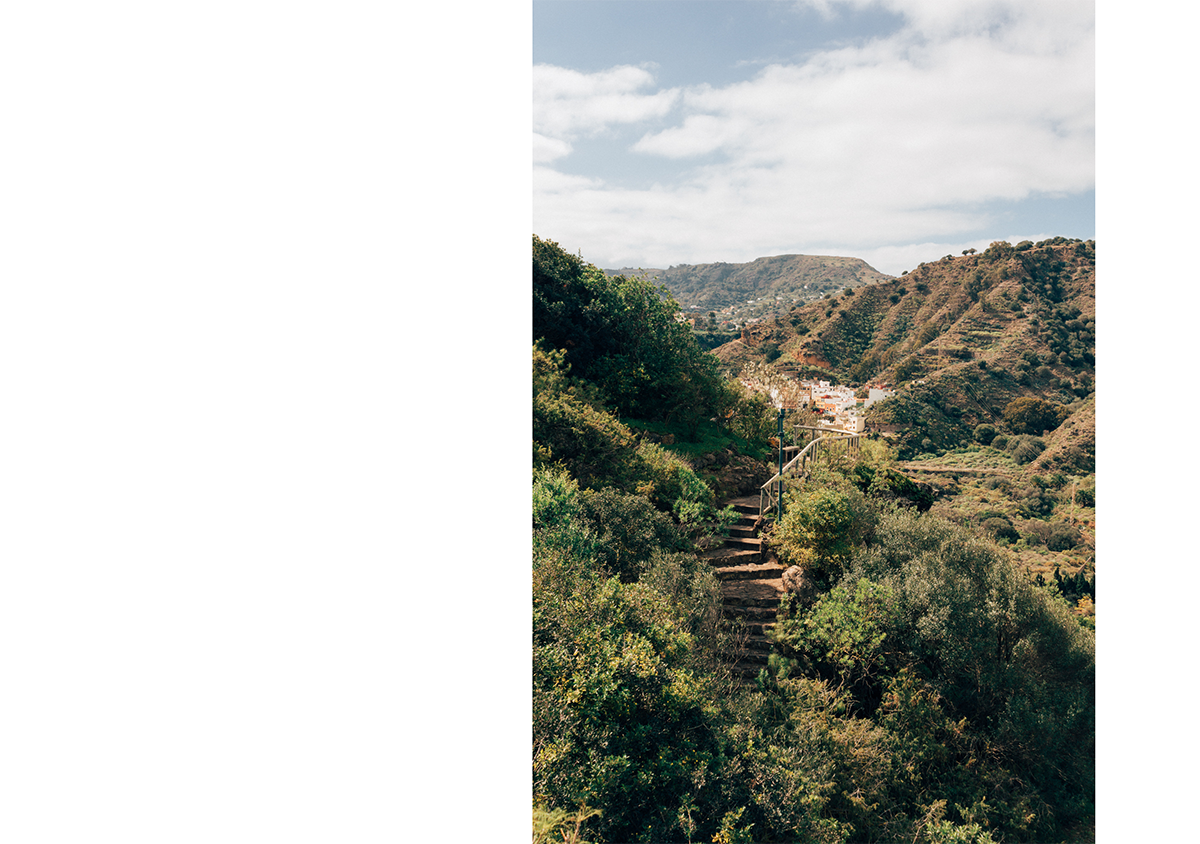 Botanical Garden of Gran Canaria - Hannelore Veelaert for Au pays des merveilles