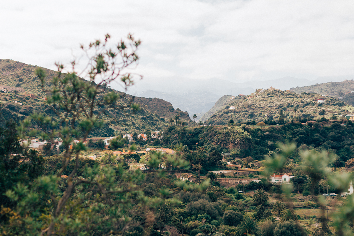 Botanical Garden of Gran Canaria - Hannelore Veelaert for Au pays des merveilles