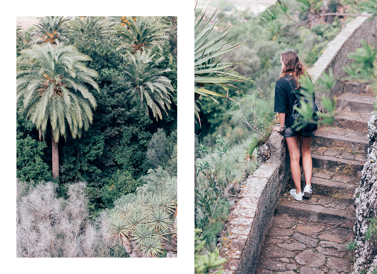 Botanical Garden of Gran Canaria - Hannelore Veelaert for Au pays des merveilles