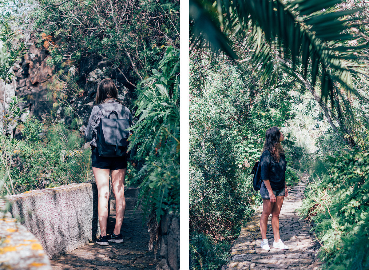 Botanical Garden of Gran Canaria - Hannelore Veelaert for Au pays des merveilles