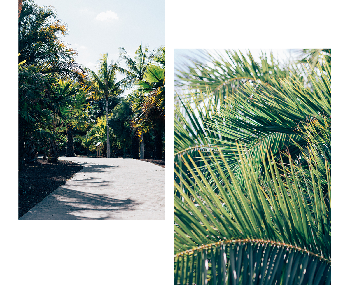 Botanical Garden of Gran Canaria - Hannelore Veelaert for Au pays des merveilles