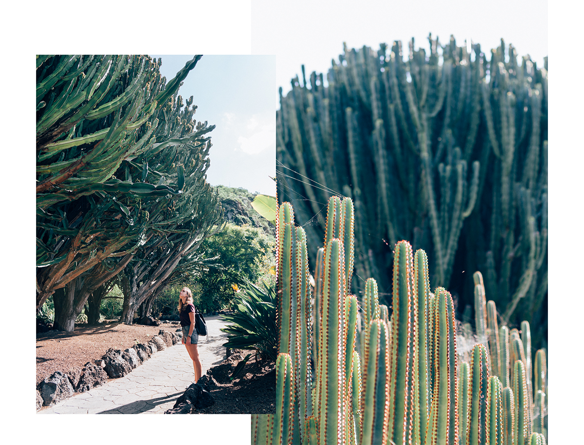 Botanical Garden of Gran Canaria - Hannelore Veelaert for Au pays des merveilles