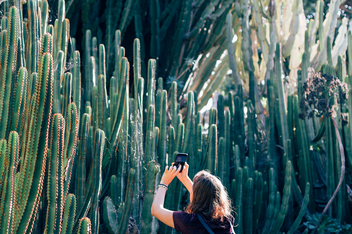 Botanical Garden of Gran Canaria - Hannelore Veelaert for Au pays des merveilles