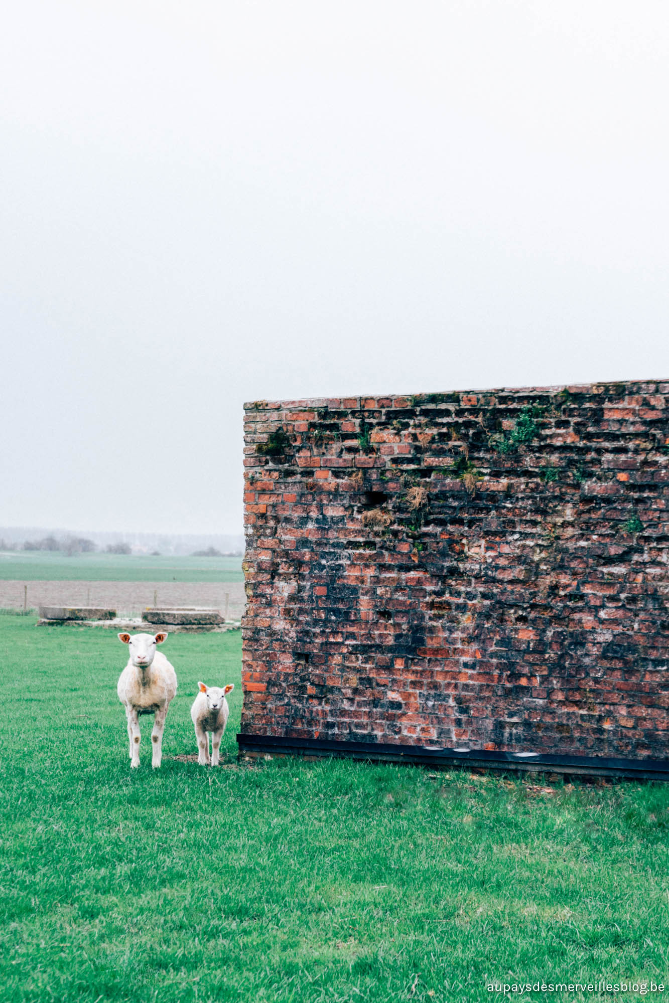 B&B The Bunkers in Knokke-Heist - Hannelore Veelaert for au pays des merveilles