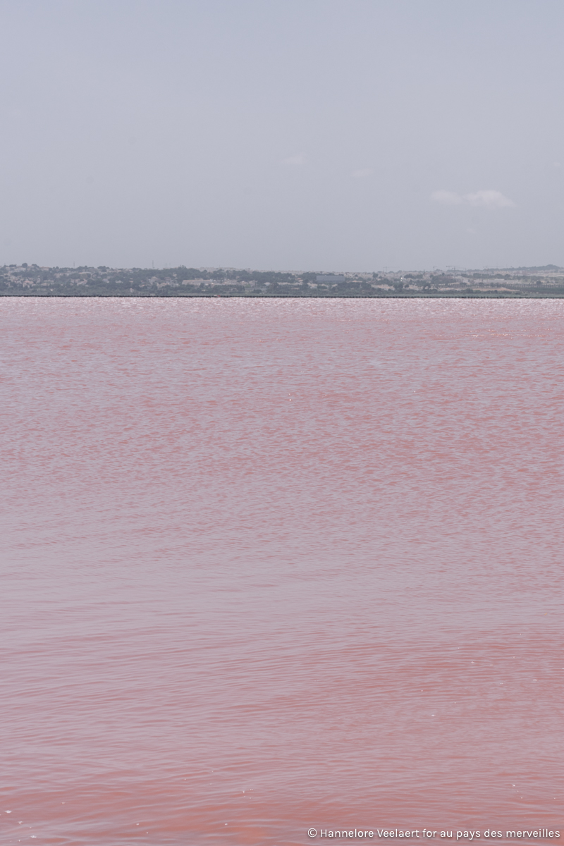 EXPLORED_las salinas de torrevieja - hannelore veelaert for aupaysdesmerveillesblog